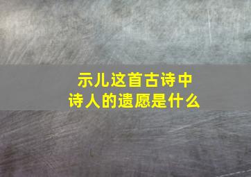 示儿这首古诗中诗人的遗愿是什么