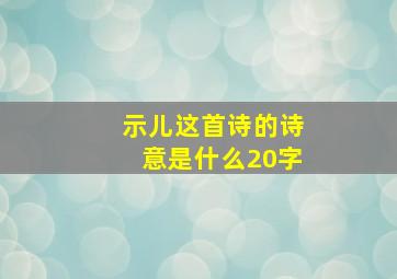 示儿这首诗的诗意是什么20字