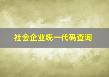 社会企业统一代码查询