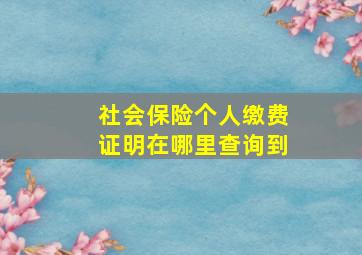 社会保险个人缴费证明在哪里查询到