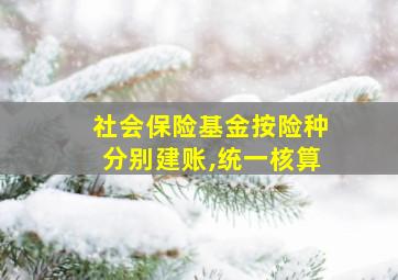 社会保险基金按险种分别建账,统一核算