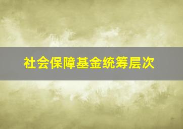 社会保障基金统筹层次