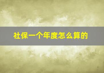 社保一个年度怎么算的