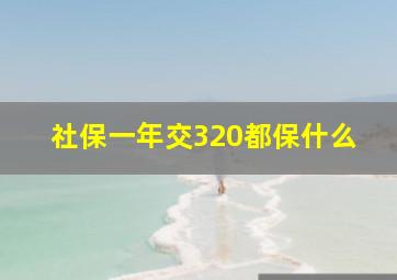 社保一年交320都保什么