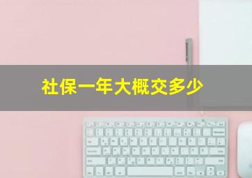 社保一年大概交多少