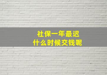 社保一年最迟什么时候交钱呢