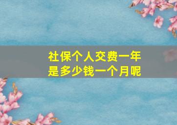 社保个人交费一年是多少钱一个月呢