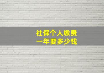 社保个人缴费 一年要多少钱