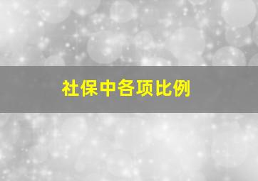 社保中各项比例