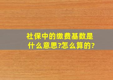 社保中的缴费基数是什么意思?怎么算的?