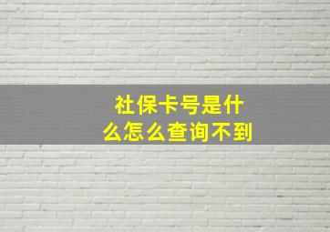 社保卡号是什么怎么查询不到