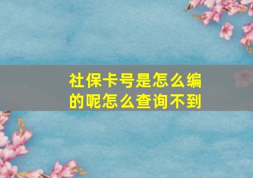 社保卡号是怎么编的呢怎么查询不到