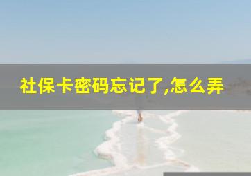 社保卡密码忘记了,怎么弄