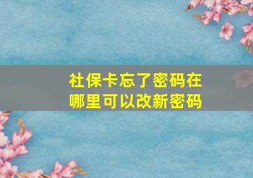 社保卡忘了密码在哪里可以改新密码