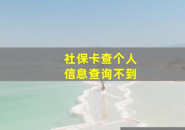 社保卡查个人信息查询不到