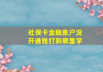 社保卡金融账户没开通钱打到哪里学