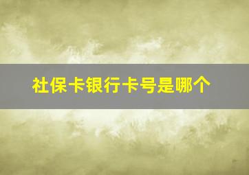 社保卡银行卡号是哪个