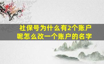 社保号为什么有2个账户呢怎么改一个账户的名字