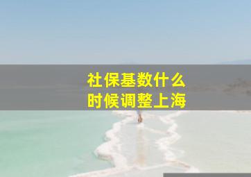 社保基数什么时候调整上海