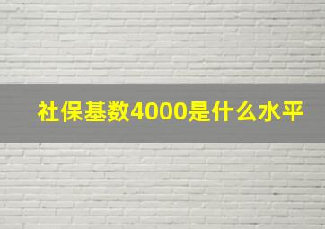 社保基数4000是什么水平