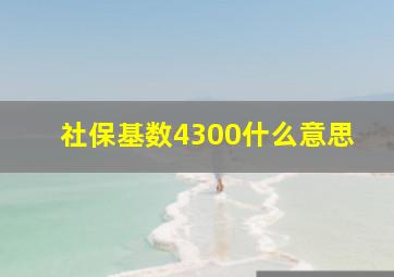 社保基数4300什么意思