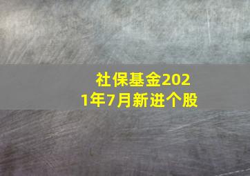 社保基金2021年7月新进个股