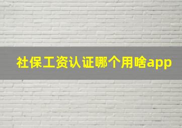 社保工资认证哪个用啥app