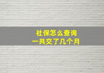 社保怎么查询一共交了几个月