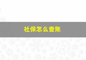 社保怎么查账