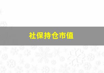 社保持仓市值