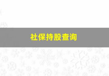 社保持股查询