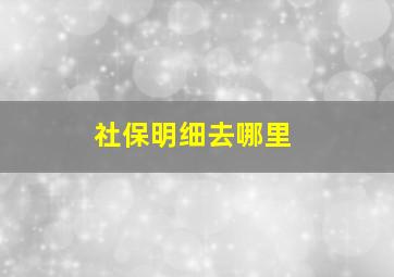 社保明细去哪里