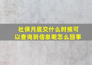 社保月底交什么时候可以查询到信息呢怎么回事