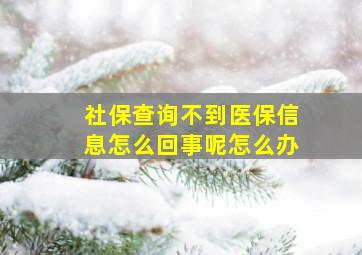 社保查询不到医保信息怎么回事呢怎么办