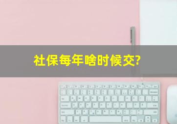 社保每年啥时候交?