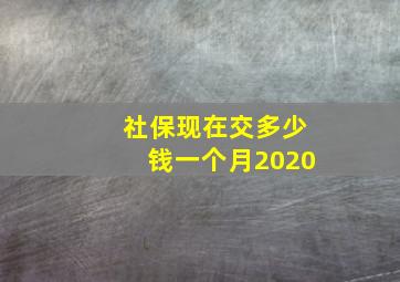 社保现在交多少钱一个月2020