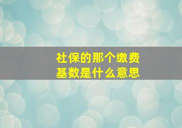 社保的那个缴费基数是什么意思