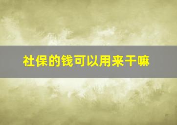 社保的钱可以用来干嘛