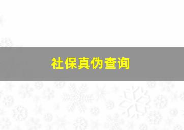 社保真伪查询