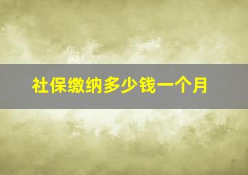 社保缴纳多少钱一个月