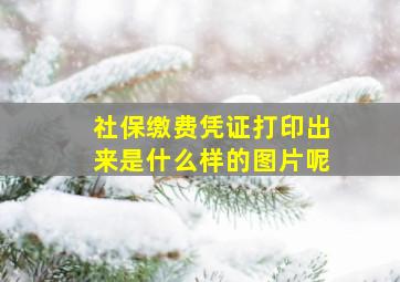 社保缴费凭证打印出来是什么样的图片呢