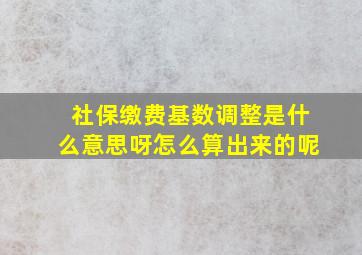 社保缴费基数调整是什么意思呀怎么算出来的呢