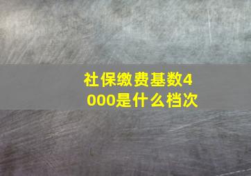 社保缴费基数4000是什么档次