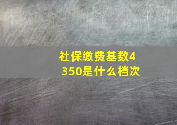 社保缴费基数4350是什么档次