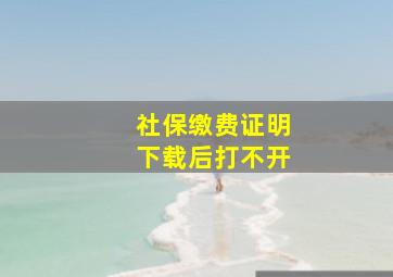 社保缴费证明下载后打不开