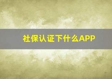 社保认证下什么APP