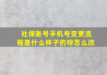 社保账号手机号变更流程是什么样子的呀怎么改