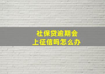 社保贷逾期会上征信吗怎么办