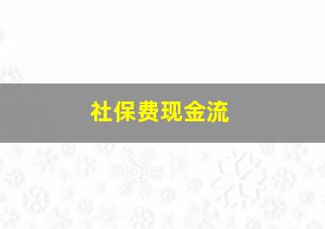 社保费现金流