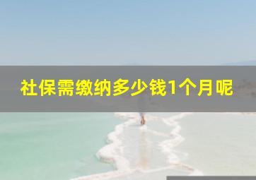 社保需缴纳多少钱1个月呢